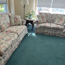 FREE Sleeper Sofa And Loveseat Great Condition!