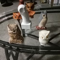 Owls 