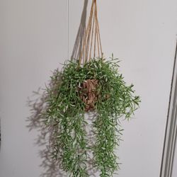 Faux Hanging Plant