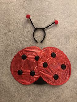 Lady Bug Costume