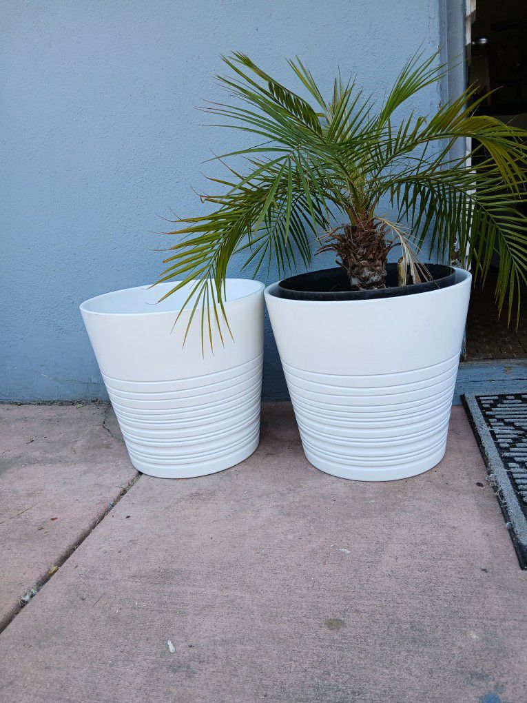 White Plant Pots 