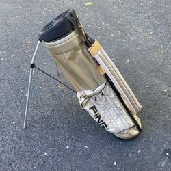 Ping Single Strap Hoofer Bag