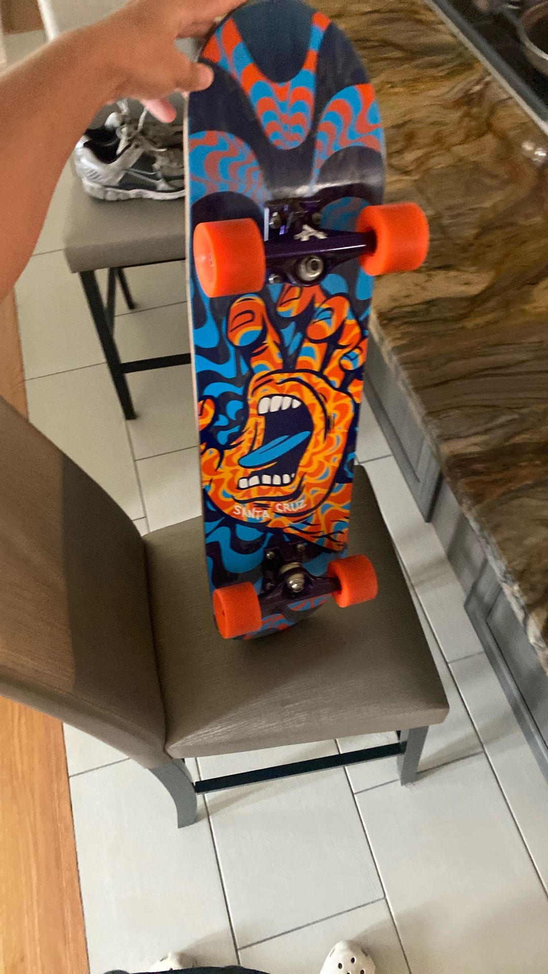 Santa Cruz Skate Board