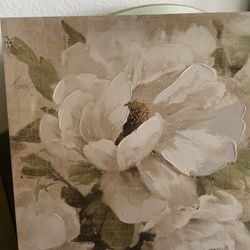 Canvas Art 20x20 Size Qty 2