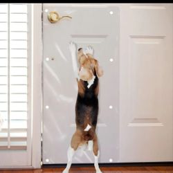 Dog Protection Wall Sheet 