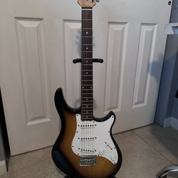 Peavey Guitar