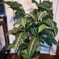 Artificial Plant  4ft Tall