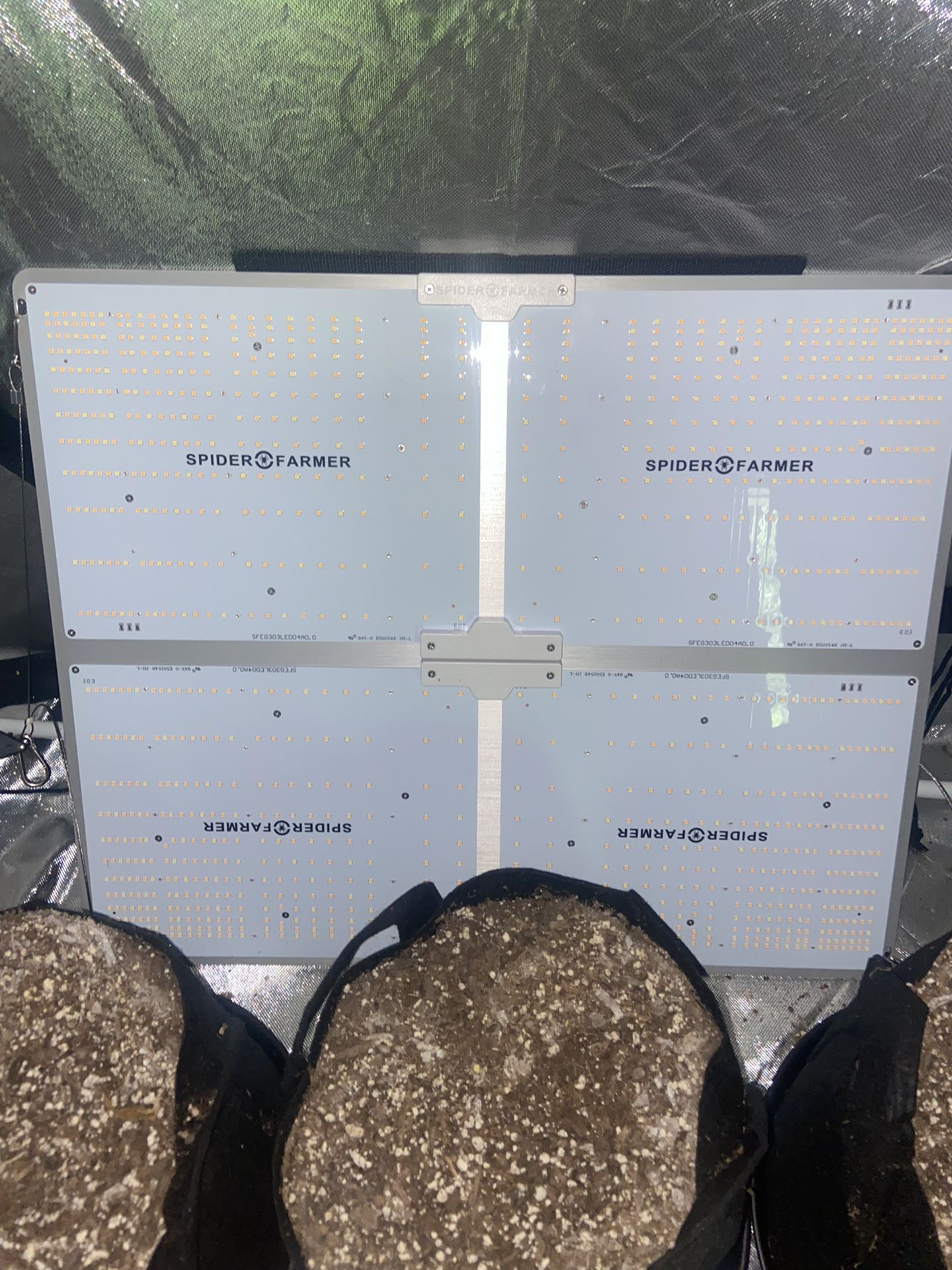 GROW LIGHT