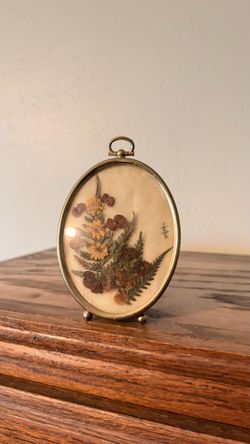 Vintage Pressed Flower Botanical Display