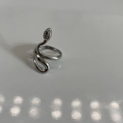 Stainless Steel Snake Ring