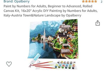 Paint by numbers on canvas -brand new