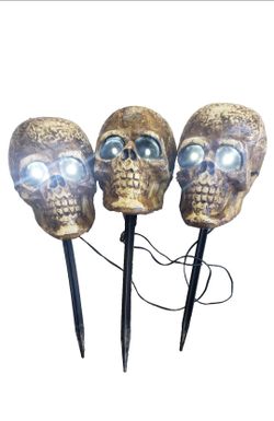 2010 Magic Power Blow Mold Skull Heads w/ Lights and Sound effects