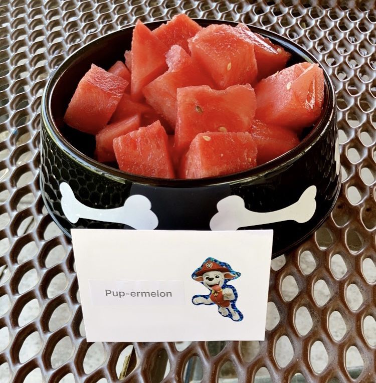Paw Patrol Food Tag (watermelon, pup-ermelon)