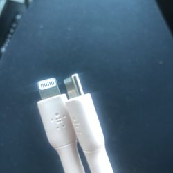 iPhone Charger