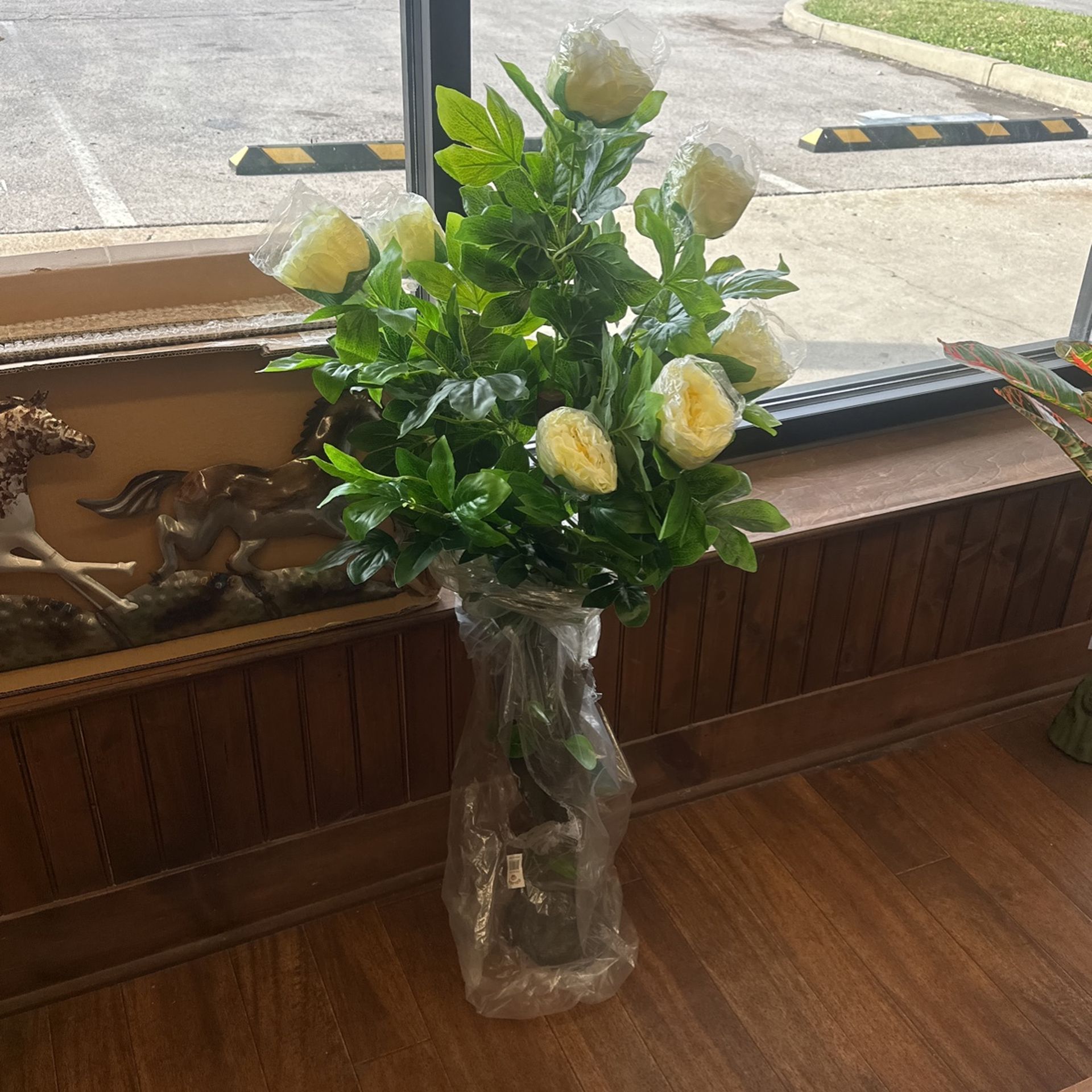 Roses