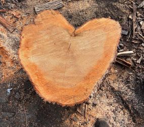 Firewood for sale