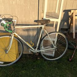 Univega Suntour 56cm Frame