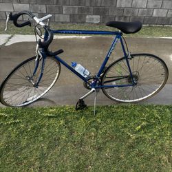 Schwinn Traveler