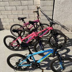 Nishiki KIDS Mountain Bikes