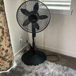 Leska Fan