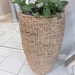 Vase with plants