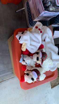 Lamb chop for dogs