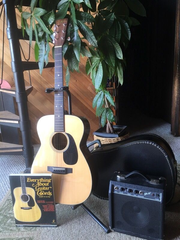 Suzuki Guitar F-130