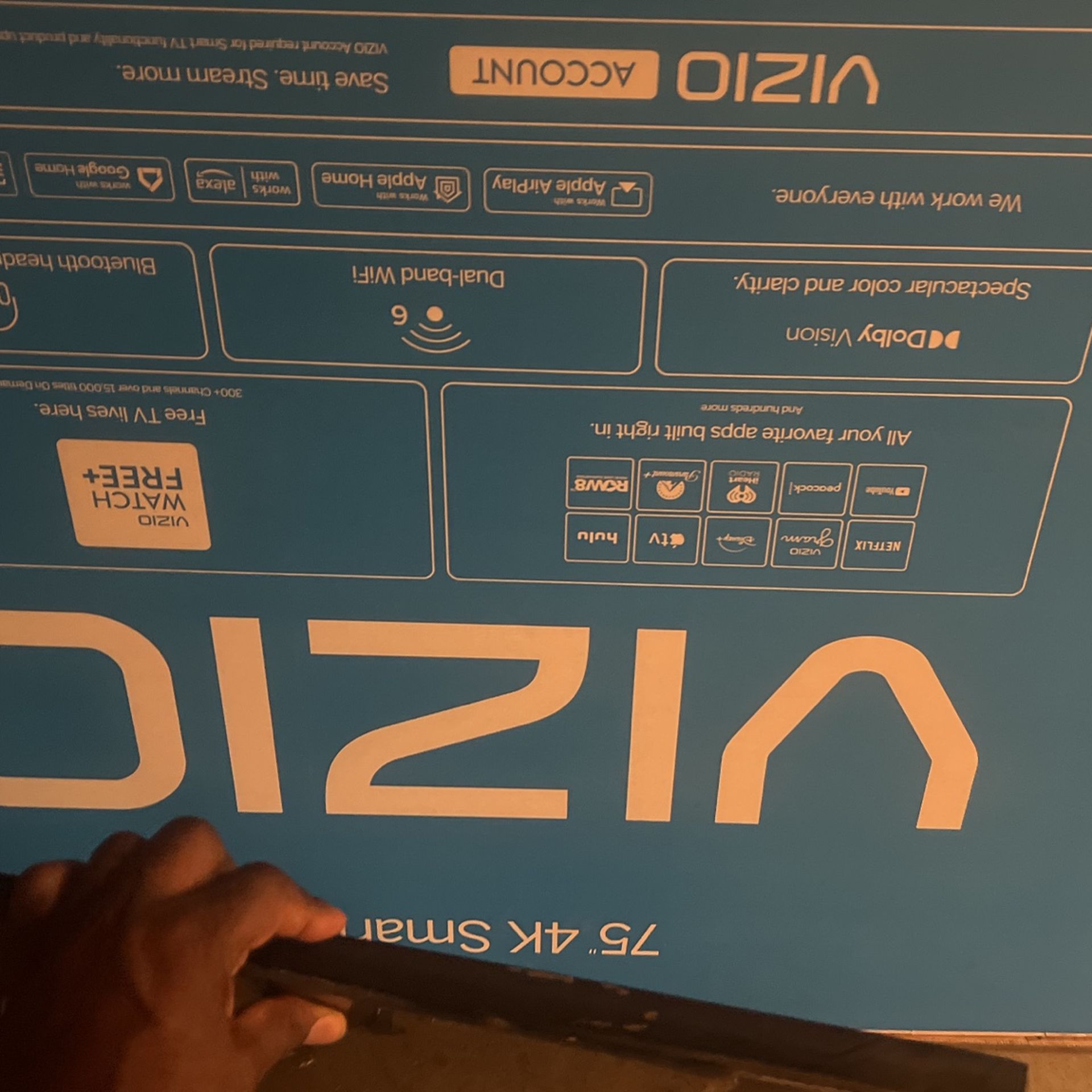 Old 65 Inch TV 