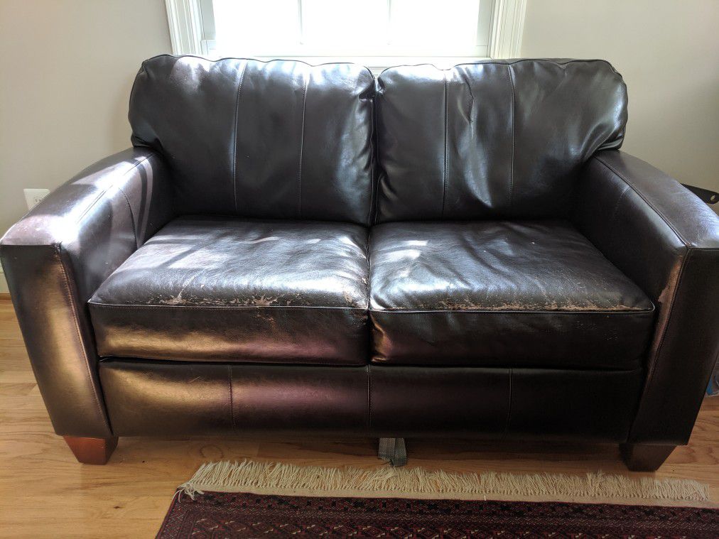 Leather Sleeper Couch