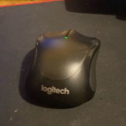 Logitech mouse can bargain