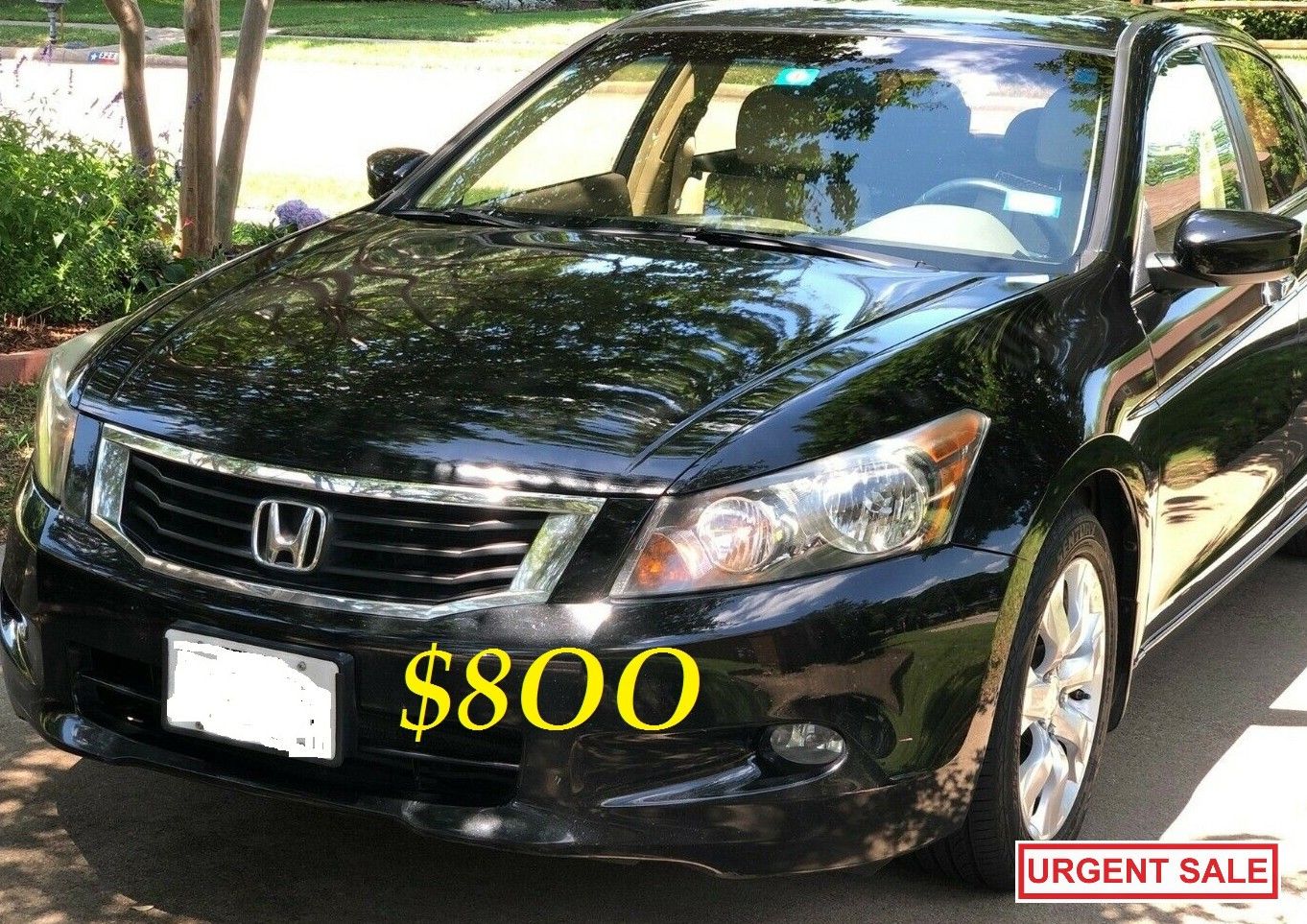 ๐๐$8OO URGENTLY I sell my family car 2OO9 Honda Accord EX-L Everything is working great! Runs great and fun to drive.๐๐