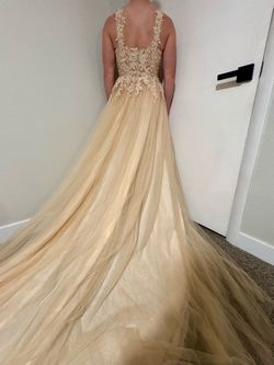 Wedding Dress – Brand New with Tags – Champagne Tulle with Lace Bodice