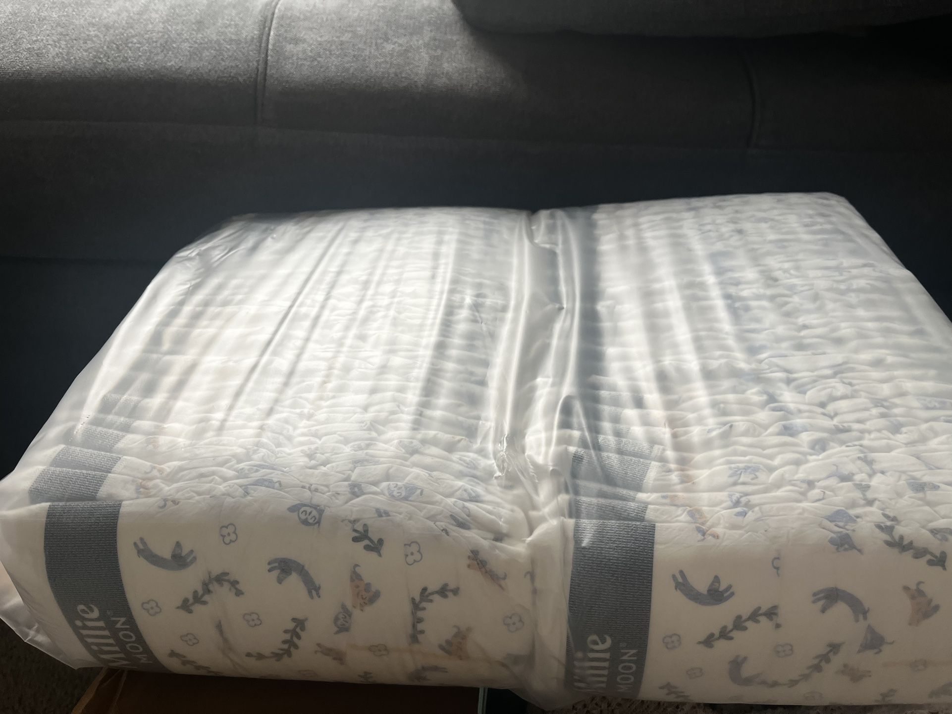 Millie Moon AND rascals Diapers