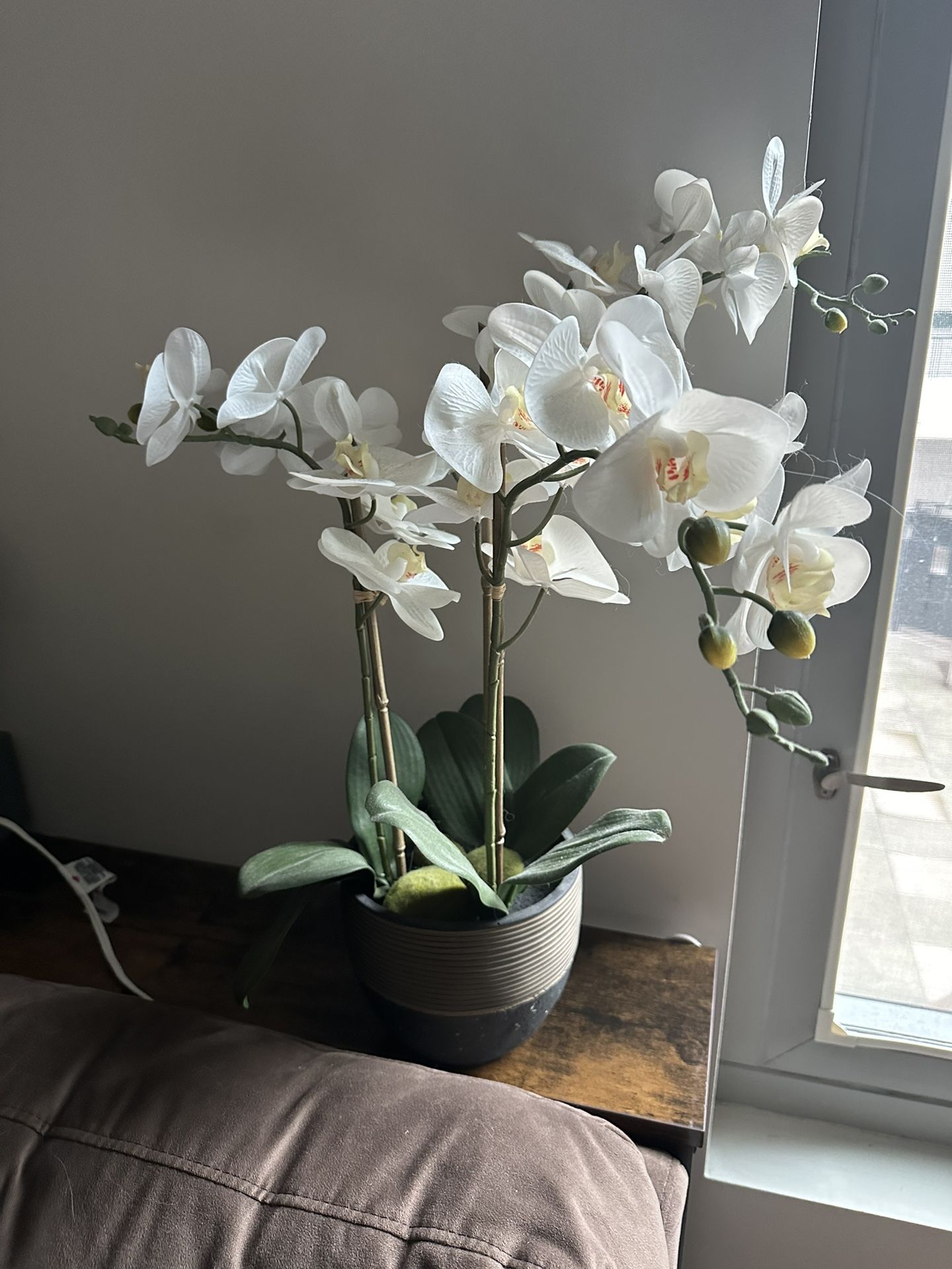 Beautiful, White Artificial Orchid From Costco