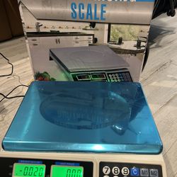 Digital Pricing Scale Capacity typically ranges from 30kg to 40kg (approx. 66 lbs to 88 lbs