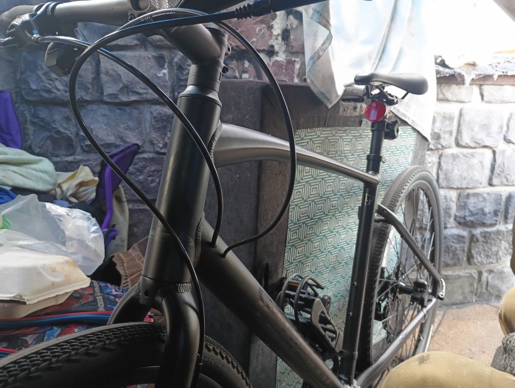 Specialized Bargain!