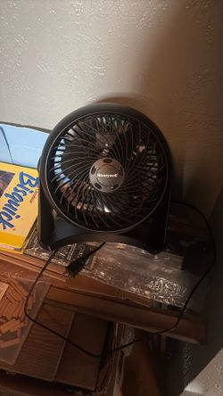 Fan