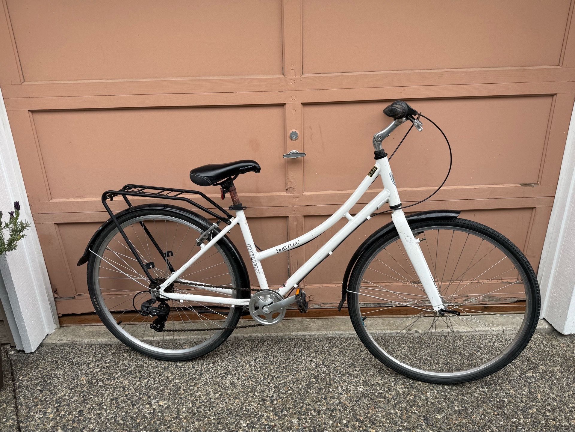FREE Bike