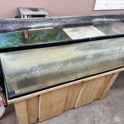 Visio Aquarium 65 Gal 
