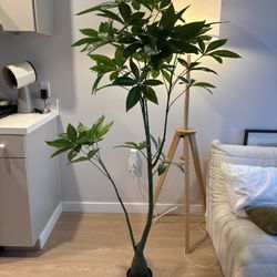 MONEY TREE PLANT 6FT Artificial 