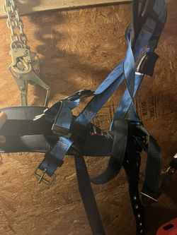 Body Harness