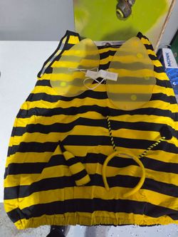 Female Homemade Adult Bee Costume