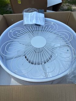 Ceiling fan