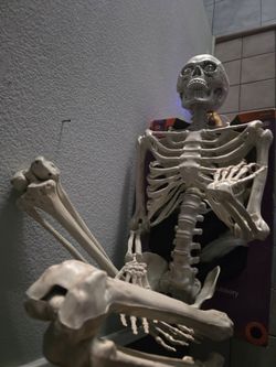 6ft tall skellington
