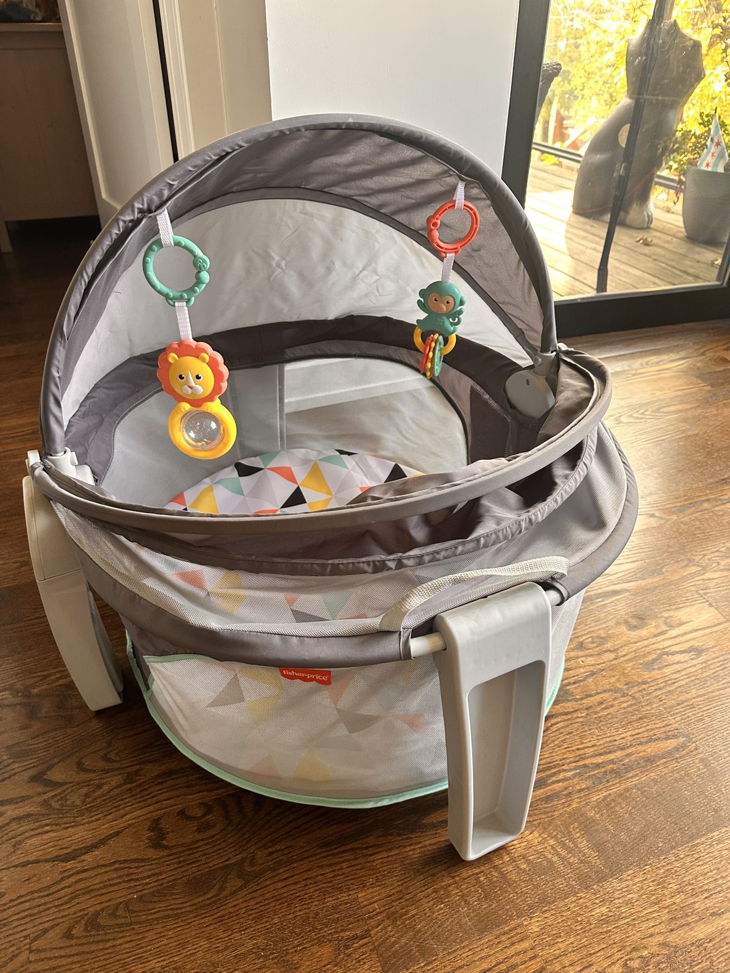 Fisher Price On The Go Bassinet