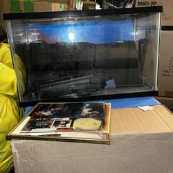Fish Tank With Filter 