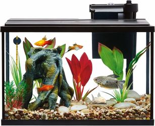 Fish glass tank