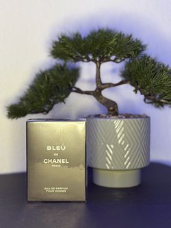 Bleu de Chanel Eau de Parfum 100ml