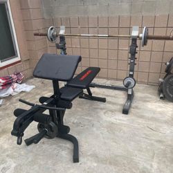 Workout Set / Weider Bench / Weider Rack / Weighted Bar And Beginner Weights