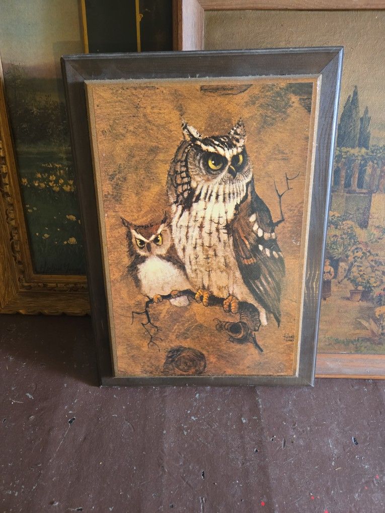 Majestic Owl Wall Photo